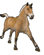 03237d282c_38108507_o2