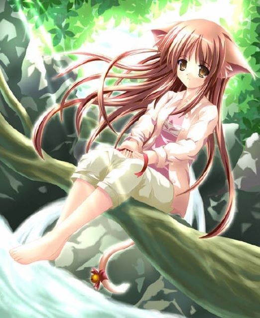 nekogirl249